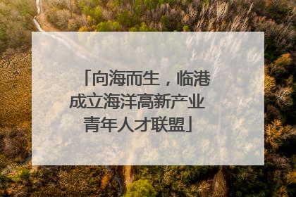 向海而生，临港成立海洋高新产业青年人才联盟