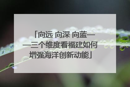 向远 向深 向蓝——三个维度看福建如何增强海洋创新动能