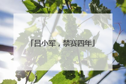 吕小军，禁赛四年
