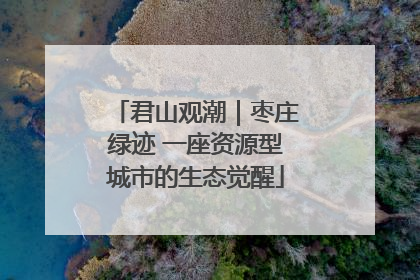 君山观潮｜枣庄绿迹 一座资源型城市的生态觉醒