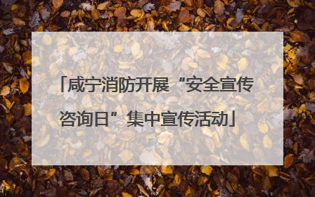 咸宁消防开展“安全宣传咨询日”集中宣传活动