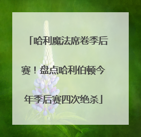 哈利魔法席卷季后赛！盘点哈利伯顿今年季后赛四次绝杀