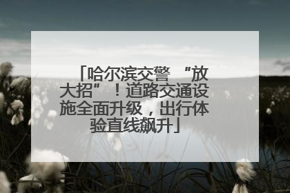 哈尔滨交警 “放大招”！道路交通设施全面升级，出行体验直线飙升