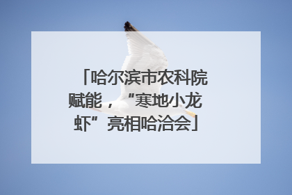 哈尔滨市农科院赋能，“寒地小龙虾”亮相哈洽会
