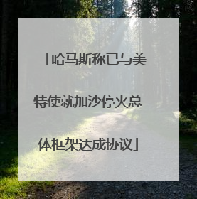 哈马斯称已与美特使就加沙停火总体框架达成协议