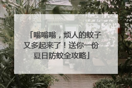 嗡嗡嗡，烦人的蚊子又多起来了！送你一份夏日防蚊全攻略