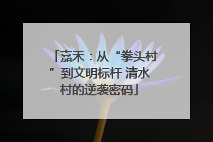 嘉禾：从“拳头村”到文明标杆 清水村的逆袭密码