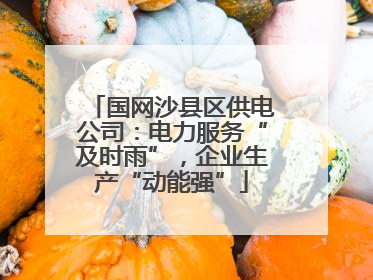 国网沙县区供电公司：电力服务“及时雨”，企业生产“动能强”