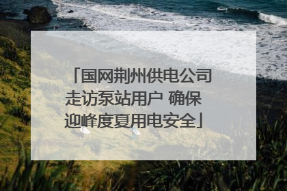 国网荆州供电公司走访泵站用户 确保迎峰度夏用电安全