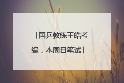 国乒教练王皓考编，本周日笔试