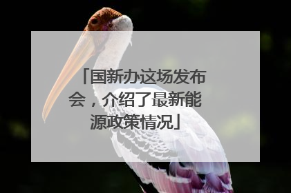 国新办这场发布会，介绍了最新能源政策情况