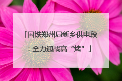国铁郑州局新乡供电段：全力迎战高“烤”
