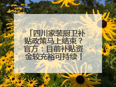 四川家装厨卫补贴政策马上结束？官方：目前补贴资金较充裕可持续丨民情瞭望