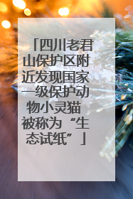 四川老君山保护区附近发现国家一级保护动物小灵猫 被称为“生态试纸”