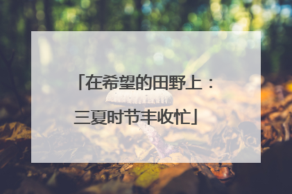 在希望的田野上：三夏时节丰收忙