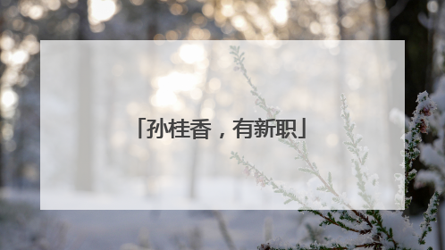 孙桂香，有新职