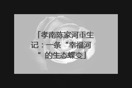 孝南陈家河重生记：一条“幸福河”的生态蝶变