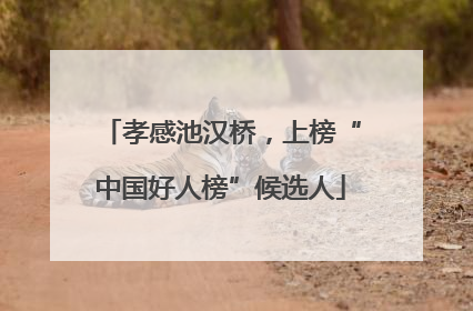 孝感池汉桥，上榜“中国好人榜”候选人