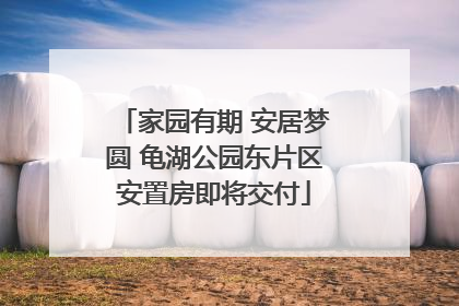 家园有期 安居梦圆 龟湖公园东片区安置房即将交付