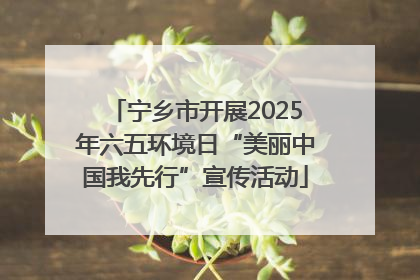 宁乡市开展2025年六五环境日“美丽中国我先行”宣传活动