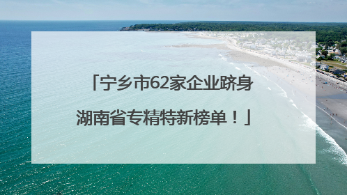 宁乡市62家企业跻身湖南省专精特新榜单！