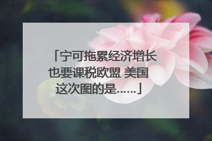 宁可拖累经济增长也要课税欧盟 美国这次图的是……