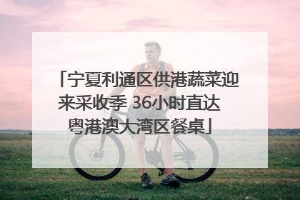 宁夏利通区供港蔬菜迎来采收季 36小时直达粤港澳大湾区餐桌