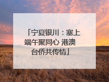 宁夏银川：塞上端午聚同心 港澳台侨共传情