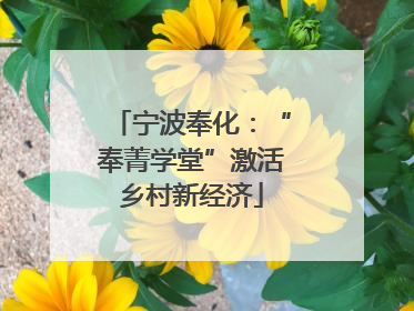 宁波奉化：“奉菁学堂”激活乡村新经济