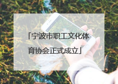 宁波市职工文化体育协会正式成立