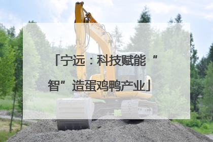 宁远：科技赋能“智”造蛋鸡鸭产业