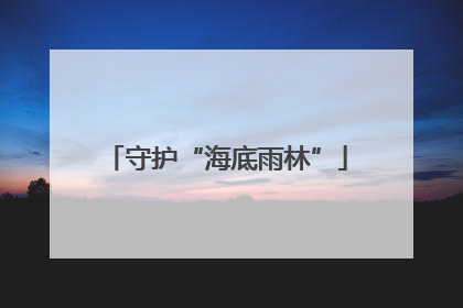 守护“海底雨林”