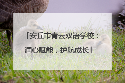 安丘市青云双语学校：润心赋能，护航成长