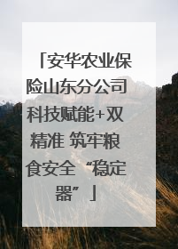 安华农业保险山东分公司科技赋能+双精准 筑牢粮食安全“稳定器”