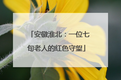 安徽淮北：一位七旬老人的红色守望