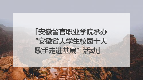 安徽警官职业学院承办“安徽省大学生校园十大歌手走进基层”活动