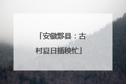 安徽黟县：古村夏日插秧忙