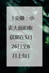 安徽：小麦大面积收获期在5月26日至6月上旬