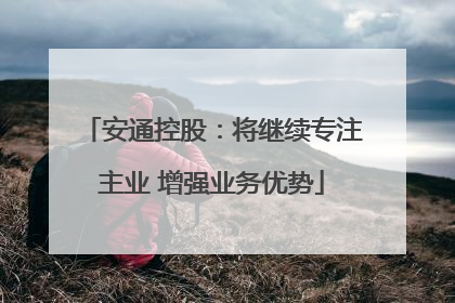 安通控股：将继续专注主业 增强业务优势