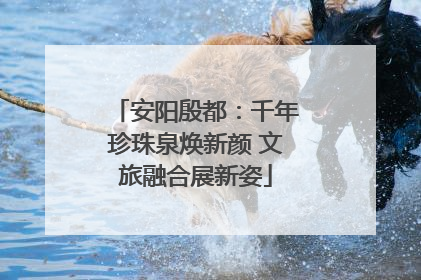 安阳殷都：千年珍珠泉焕新颜 文旅融合展新姿