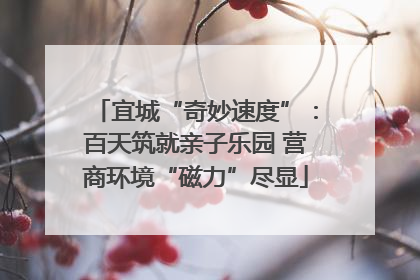 宜城“奇妙速度”：百天筑就亲子乐园 营商环境“磁力”尽显