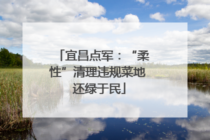 宜昌点军：“柔性”清理违规菜地 还绿于民