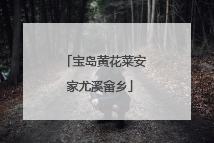 宝岛黄花菜安家尤溪畲乡