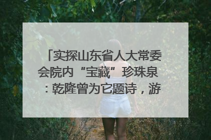 实探山东省人大常委会院内“宝藏”珍珠泉：乾隆曾为它题诗，游客无需预约免费游览