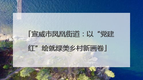 宣威市凤凰街道：以“党建红”绘就绿美乡村新画卷