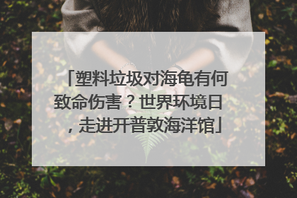 塑料垃圾对海龟有何致命伤害？世界环境日，走进开普敦海洋馆