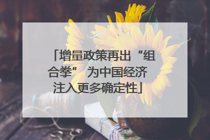 增量政策再出“组合拳” 为中国经济注入更多确定性