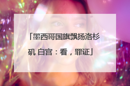 墨西哥国旗飘扬洛杉矶 白宫：看，罪证