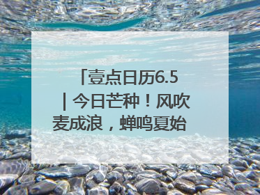 壹点日历6.5｜今日芒种！风吹麦成浪，蝉鸣夏始忙！大家早安