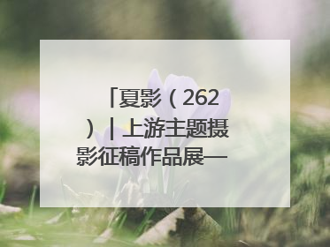 夏影（262）｜上游主题摄影征稿作品展——黄红专作品